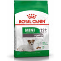 ROYAL CANIN Mini Ageing 12+ 1.5kg
