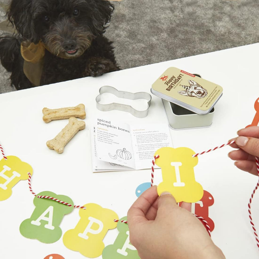 KIKKERLAND Kit d'anniversaire pour chien Happy Birthday Boîte Métallique