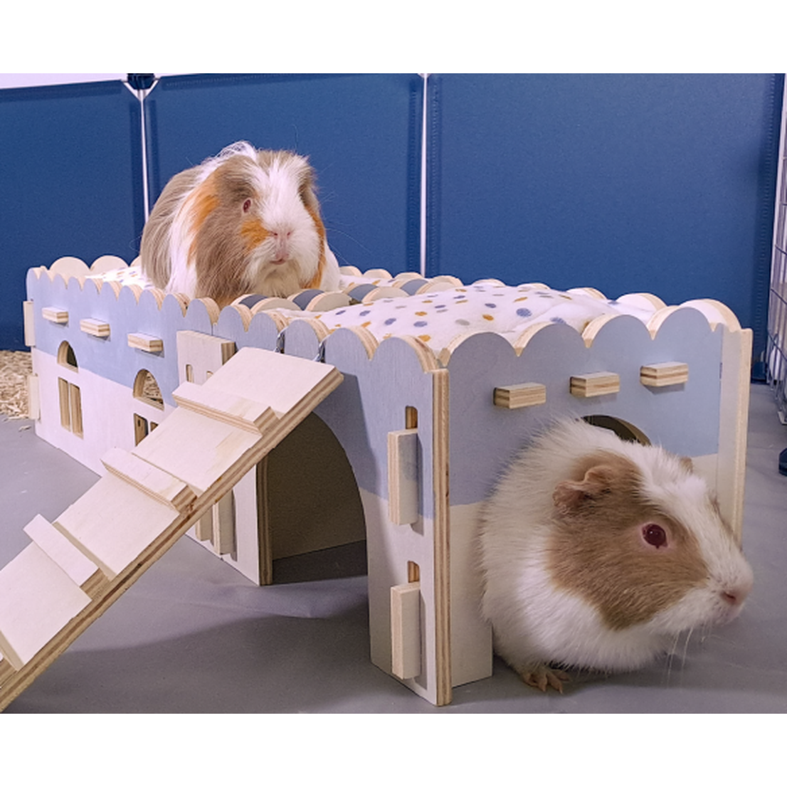 ZOLUX Maison en bois Cosy+ S Souris, Hamster et Rat Bois FSC Plaid polaire