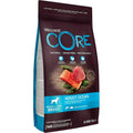 WELLNESS CORE Ocean Croquettes pour Chien Saumon Thon