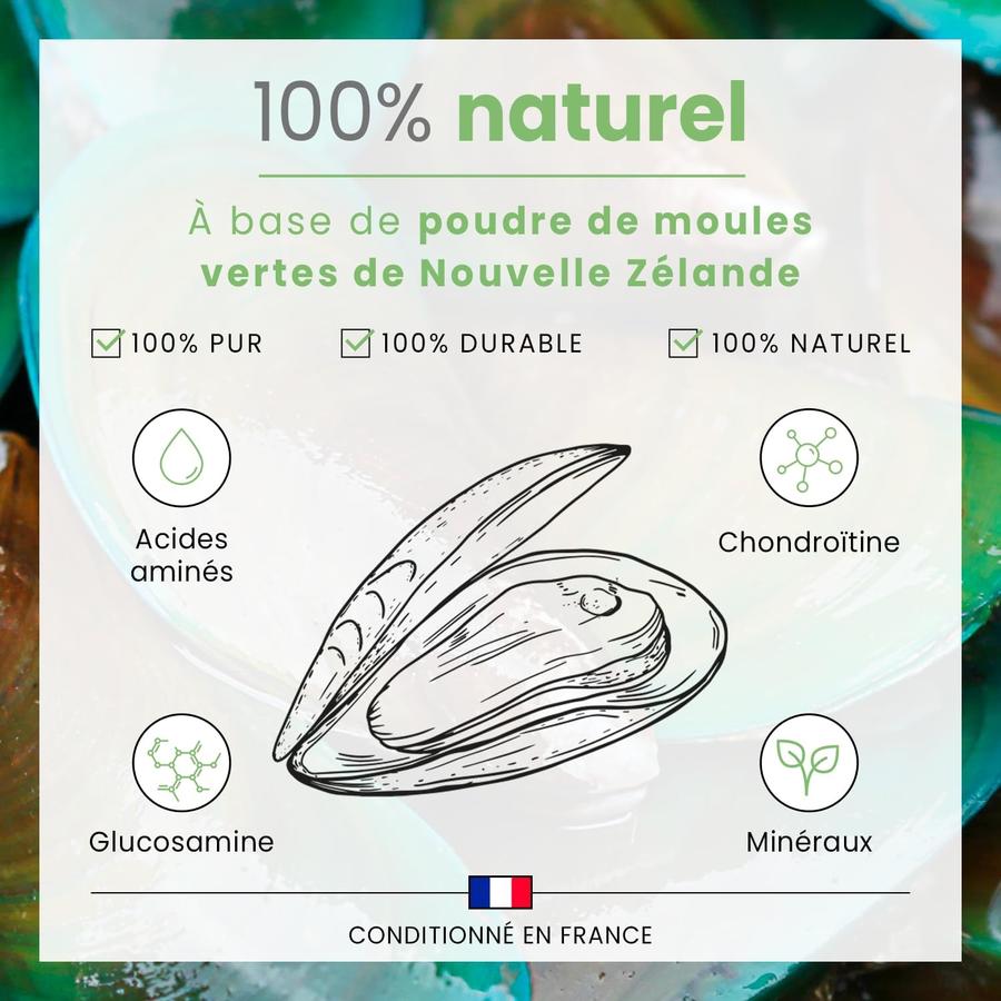 BUBIMEX Poudre de Moules Vertes Bien-Être Articulaire Chien & Chat 60g
