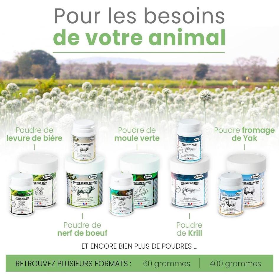 BUBIMEX Poudre de Carotte Complément Alimentaire 100% Naturel Chiens et Chats 60g