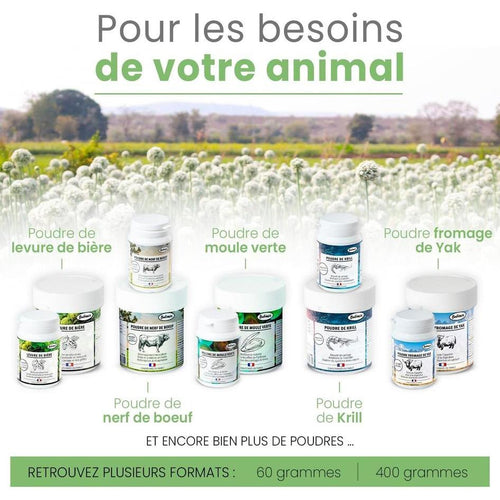 BUBIMEX Poudre de Carotte Complément Alimentaire 100% Naturel Chiens et Chats 60g
