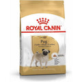 ROYAL CANIN Pug Adult 1,5kg