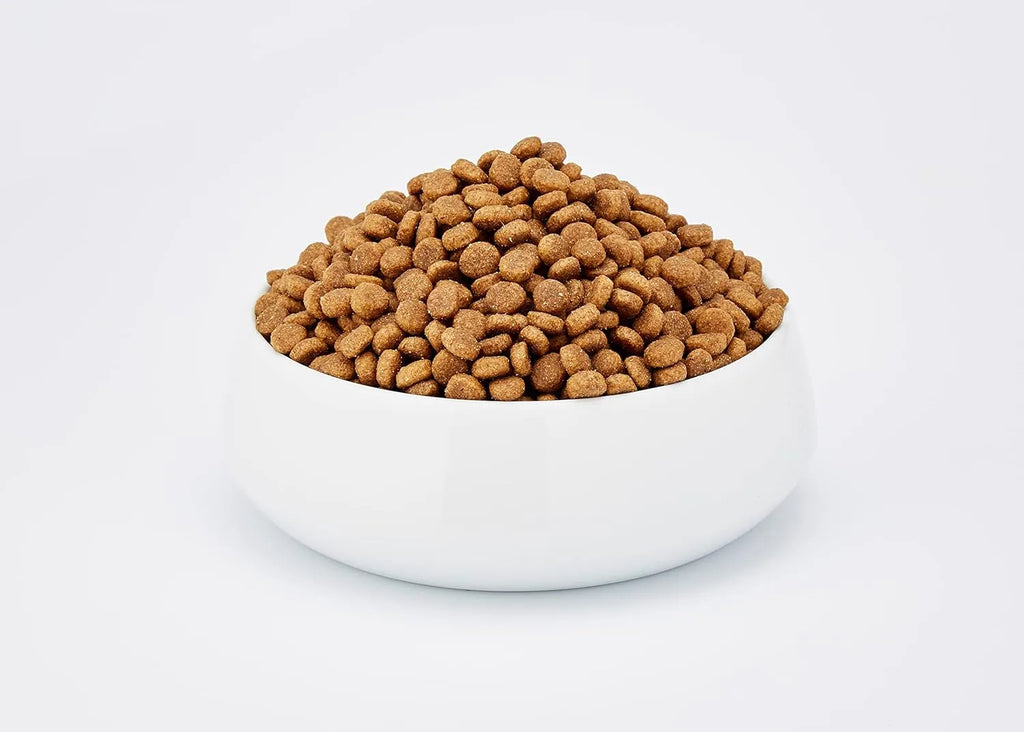 WELLNESS CORE Original Stérilisé Croquettes Chat Poulet & Dinde 1,75kg