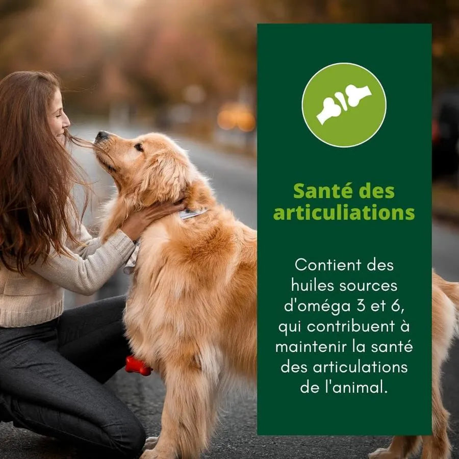 EQUILIBRE & INSTINCT Terrine pour chien âgé riche en volaille et petits pois 300g
