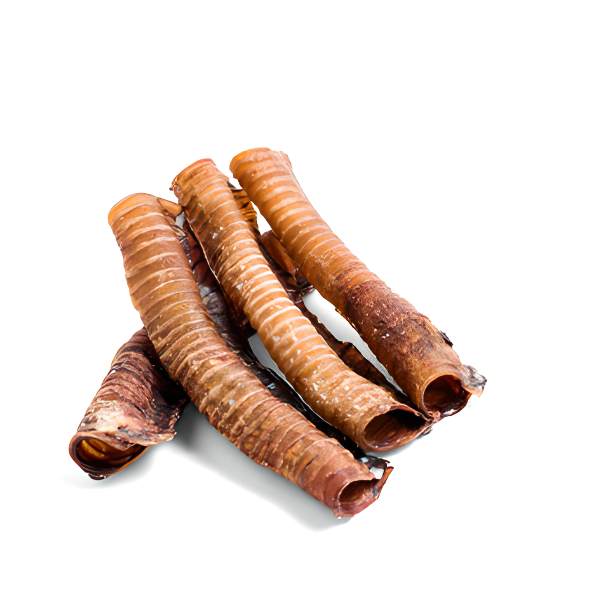 Trachée de Bœuf 8cm