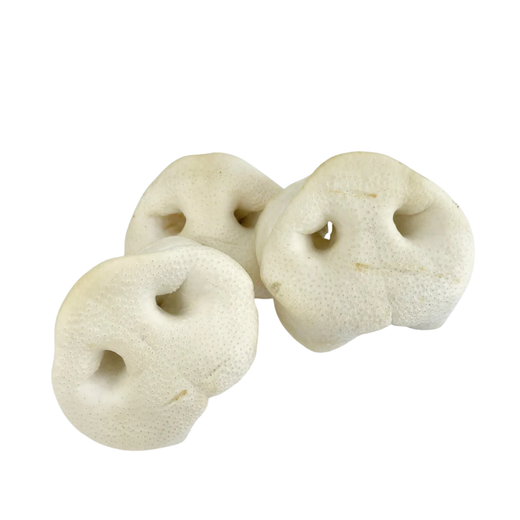 Museau de cochon Friandise naturelle pour chiens