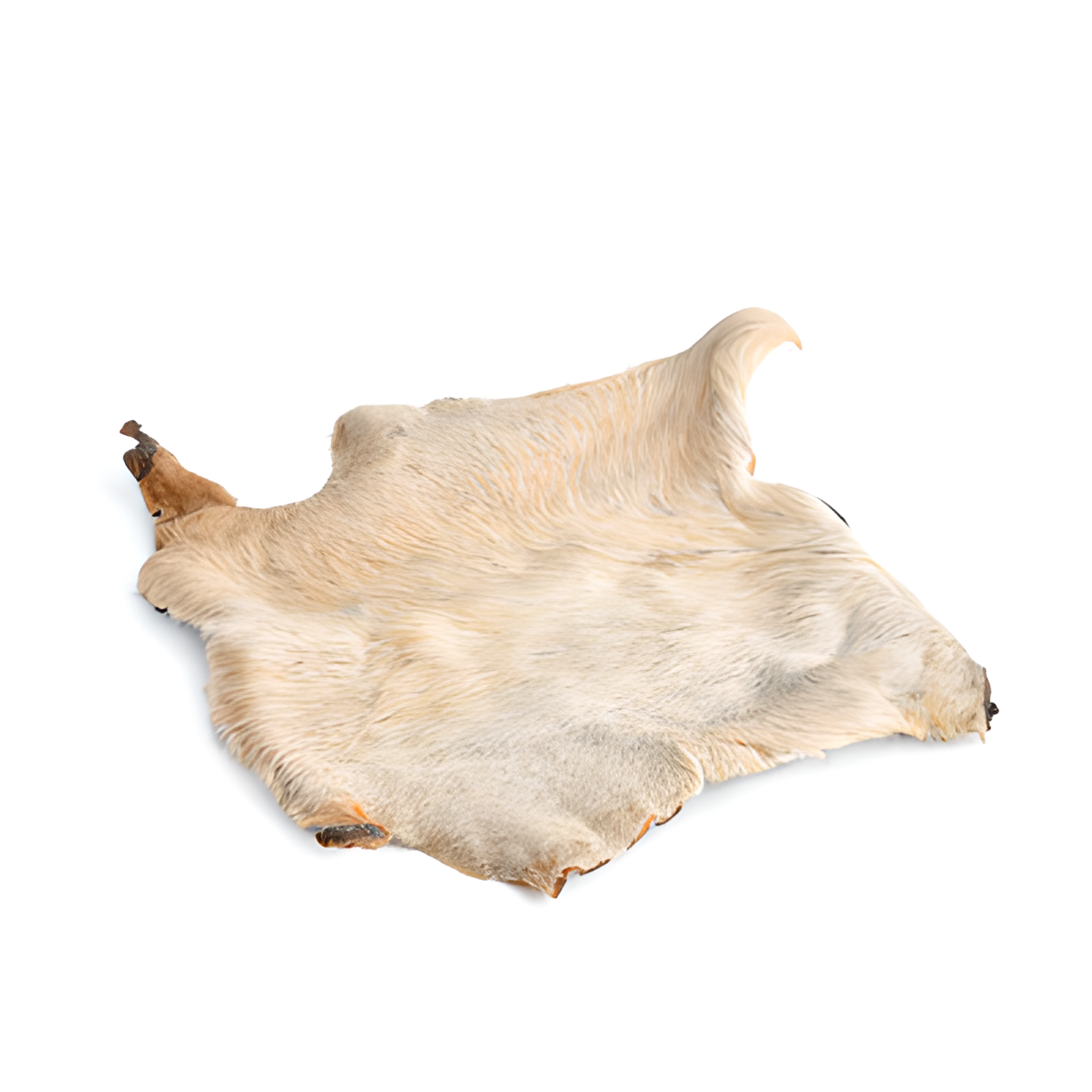 Plaque de Peau de Boeuf avec Poils