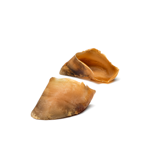 Sabot de Bœuf Évidé Friandise Naturelle pour Chien