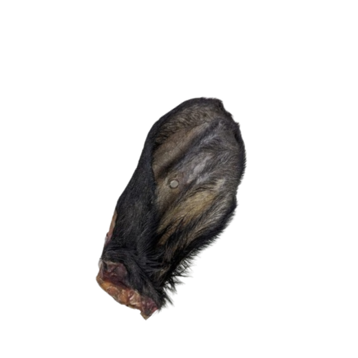 Oreilles de bœuf avec poils