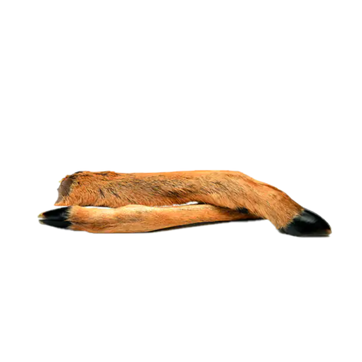 Pattes de Chevreuil avec Poils