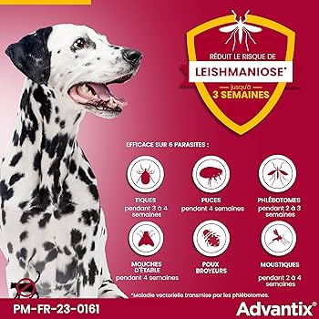 ELANCO Advantix Pipettes Antiparasitaires Grand Chien 25-40kg 6x4ml
