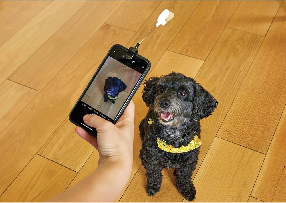 KIKKERLAND Dog Treat Selfie Clip pour Chien