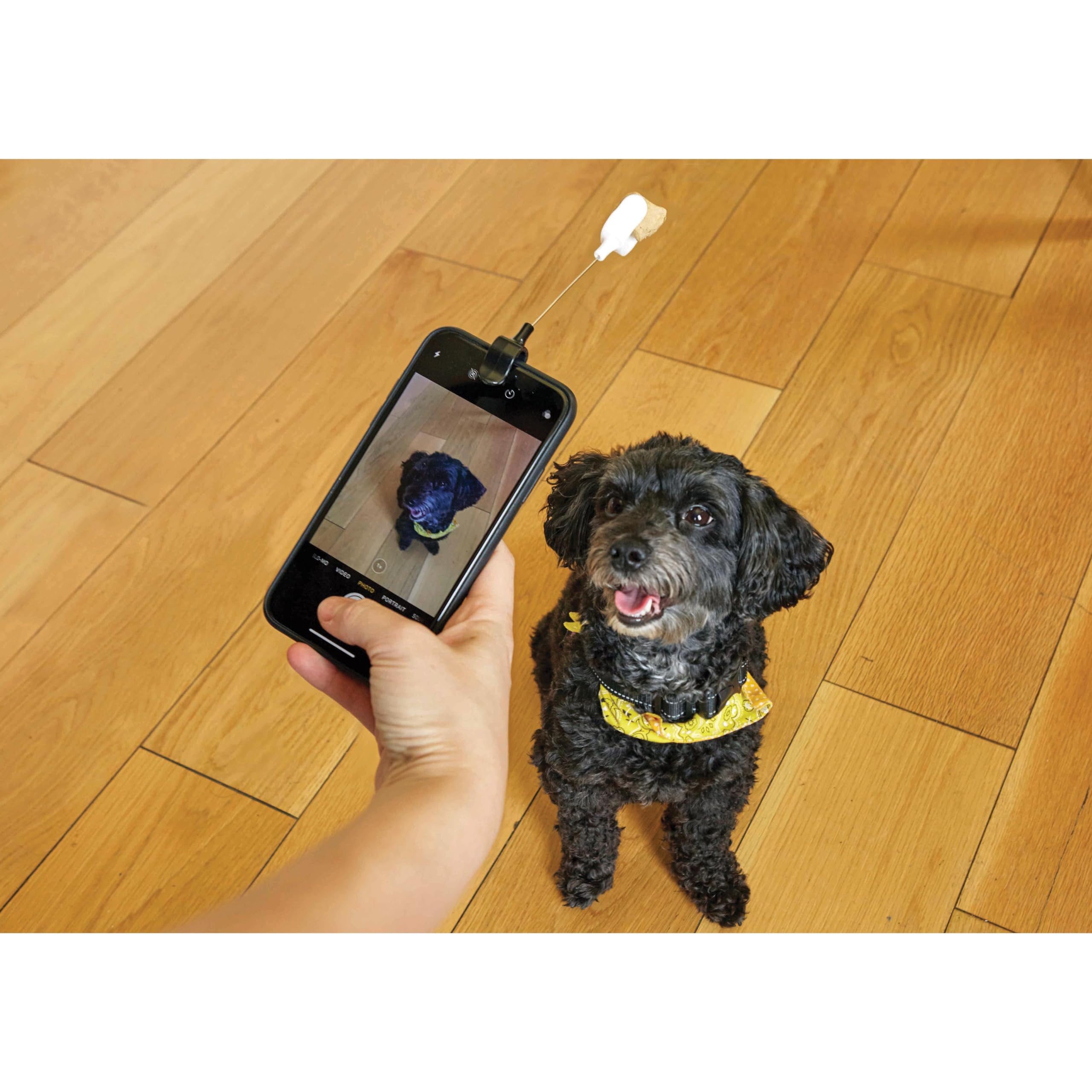KIKKERLAND Dog Treat Selfie Clip pour Chien