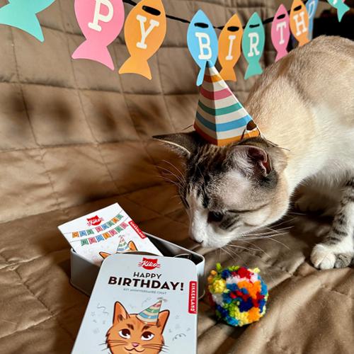 KIKKERLAND Kiko Cat Happy Birthday Kit Kit Anniversaire Chat