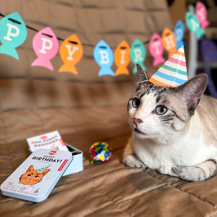 KIKKERLAND Kiko Cat Happy Birthday Kit Kit Anniversaire Chat