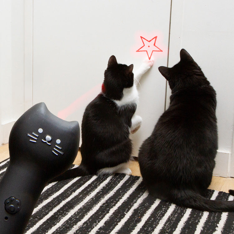 KIKKERLAND Kiko Rechargeable Pounce&Play Laser pour Chats 3 Modes 5 Formes Rechargeable
