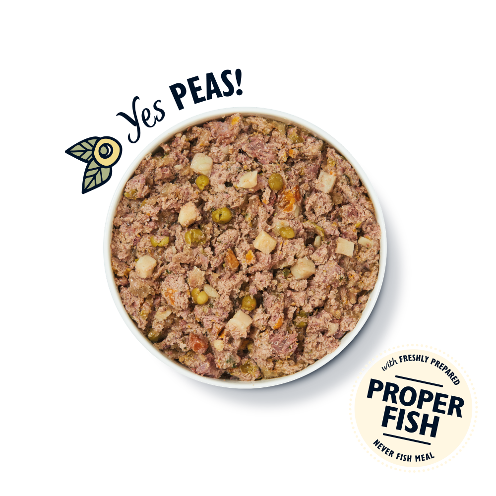 LILY'S KITCHEN Adulte Terrine Fishy Fish Pie Dinde Saumon et Pommes de Terre 400g