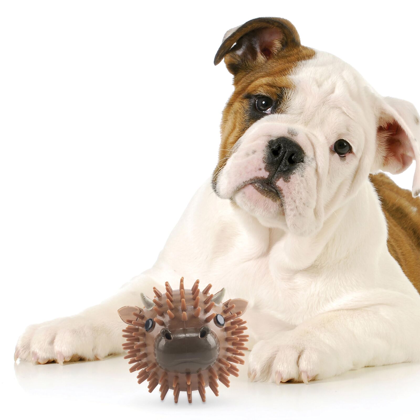 KIKKERLAND Cow Dog Ball Balle pour chien goût bœuf avec couinement 9 cm