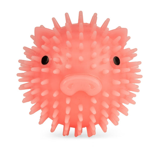 KIKKERLAND Piggy Dog Ball Balle pour Chien Parfumée Bacon Squeak Long 9cm