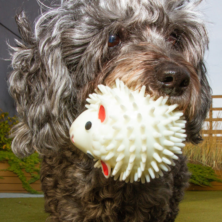 KIKKERLAND Kobe Sheep Dog Ball Jouet pour chien