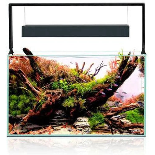 AQUAEL Ultrascape 60 Set Forest 64 L – Aquarium Aquascaping avec Meuble Effet Bois