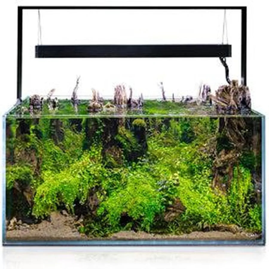 AQUAEL Ultrascape 90 Set Forest 240 L – Grand Aquarium Aquascaping avec Meuble Effet Bois
