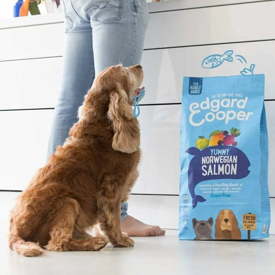 EDGARD & COOPER Croquettes Sans Céréales au Saumon Frais pour Chien Adulte 12kg