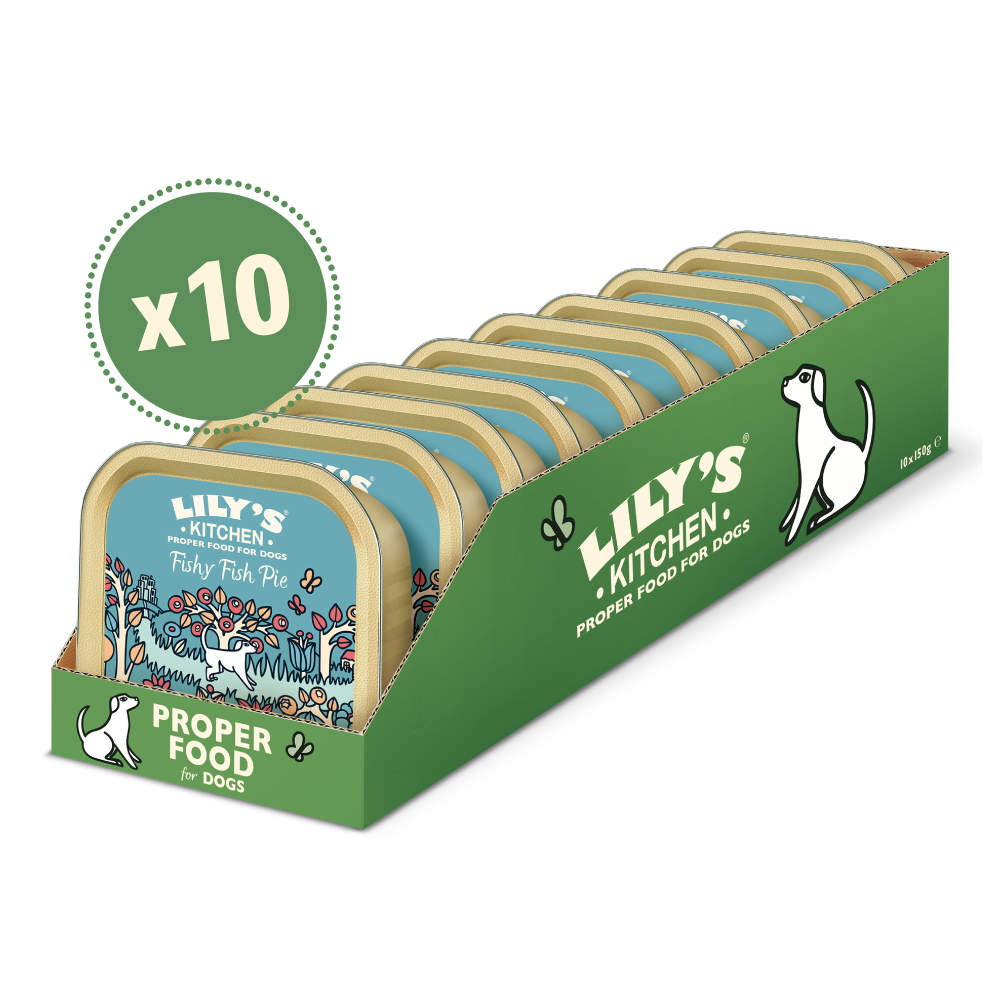 LILY'S KITCHEN Adulte Terrine Fishy Fish Pie Dinde Saumon et Pommes de Terre 400g
