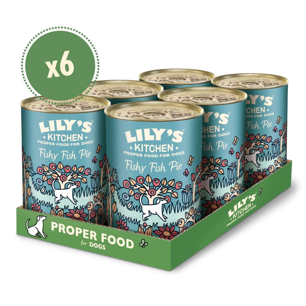 LILY'S KITCHEN Adulte Terrine Fishy Fish Pie Dinde Saumon et Pommes de Terre 400g