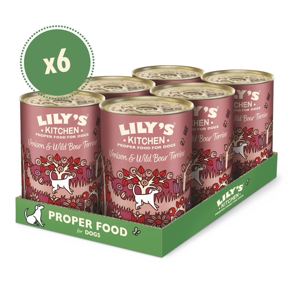LILY'S KITCHEN Venison & Wild Boar Terrine Adulte 400g