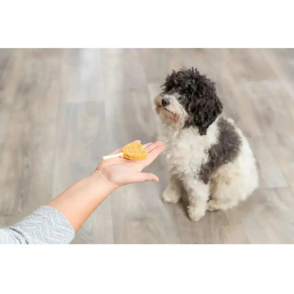 Lolly Poulet & Riz – 10 cm (35 g)