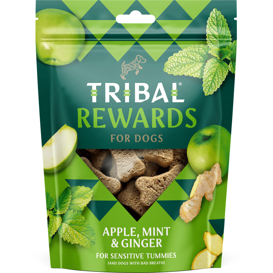 TRIBAL REWARDS Apple, Mint & Ginger 125g