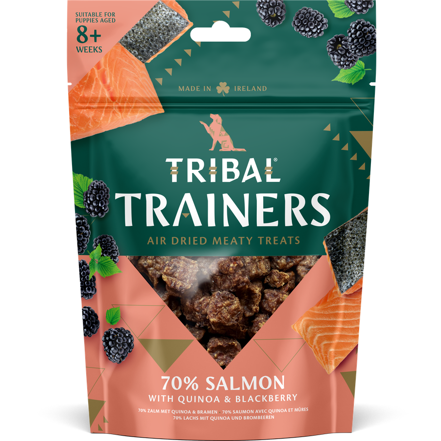 TRIBAL TRAINERS Salmon & Blackberry 80g