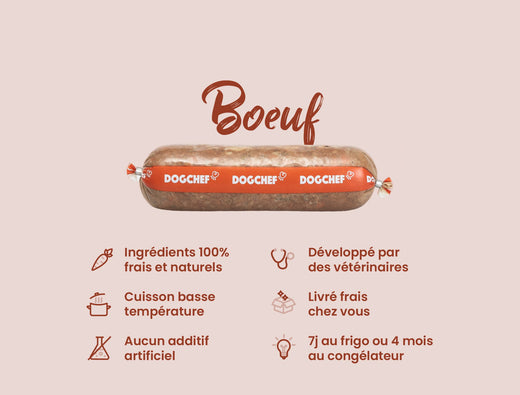 DOG CHEF Bœuf & Poulet 400g – Pâtée Fraîche Cuisinée pour Chien