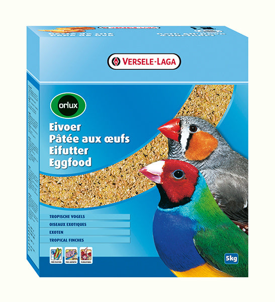 VERSELE LAGA Orlux Gold Patee Oiseaux 250g