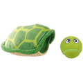 Summer tortue rebondissante