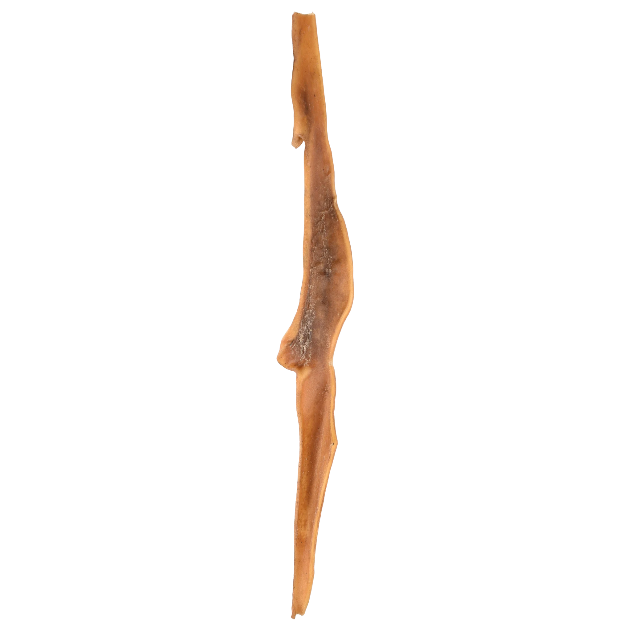 Peau de boeuf géante 60cm
