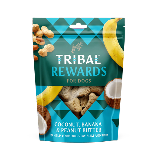 Tribal trainer coco beurre de cacahuete