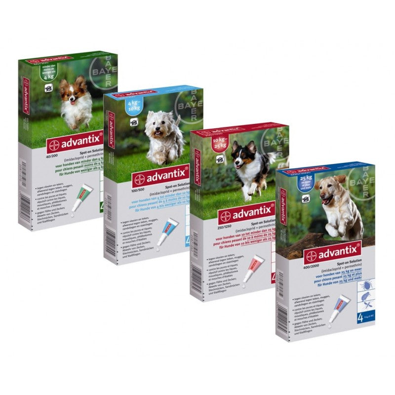 BAYER Advantix Pipettes Antiparasitaires pour Chien
