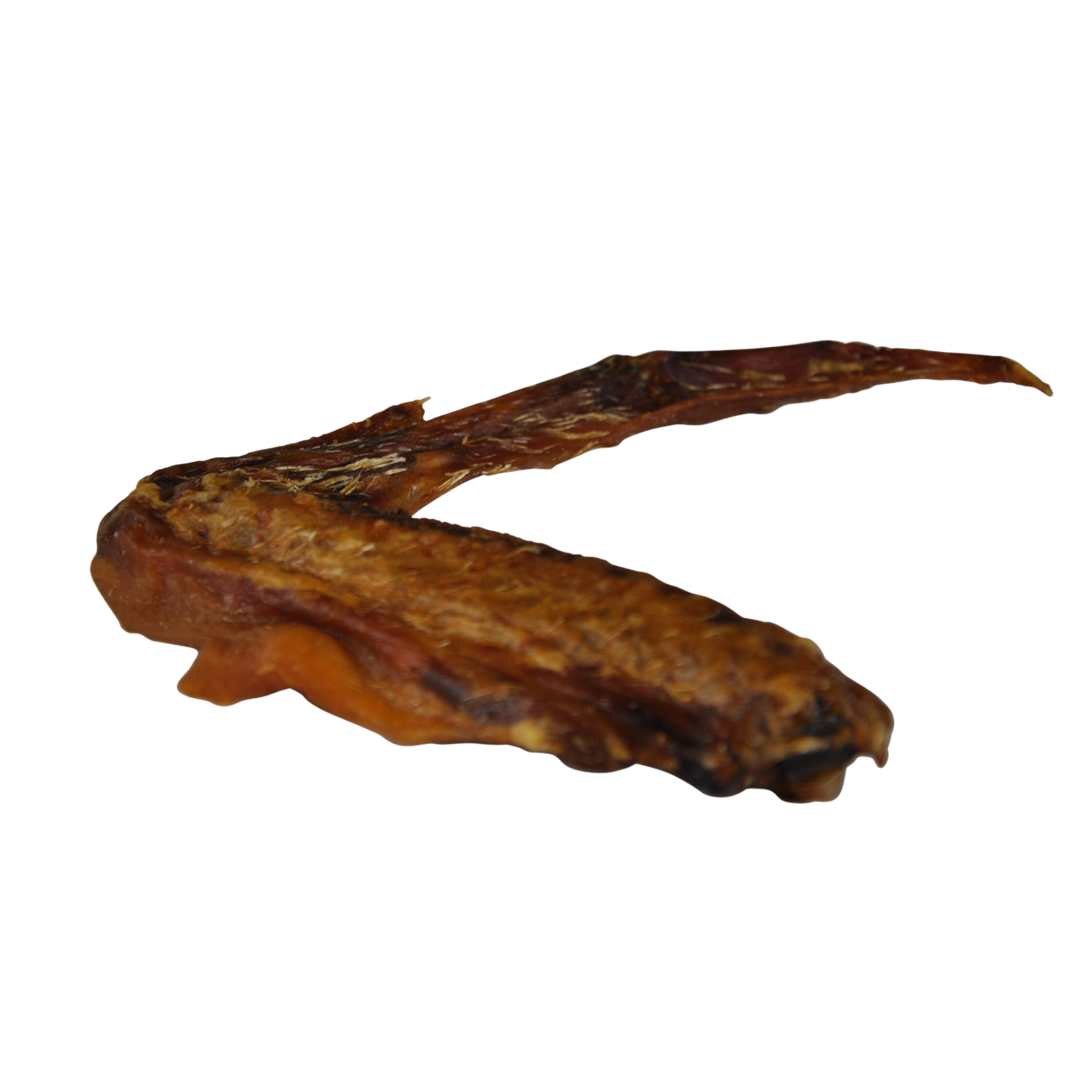 Aile de canard