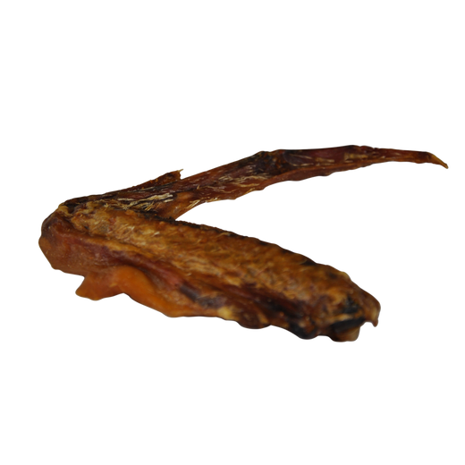 Aile de canard