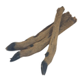 Jambe de cerf poilue