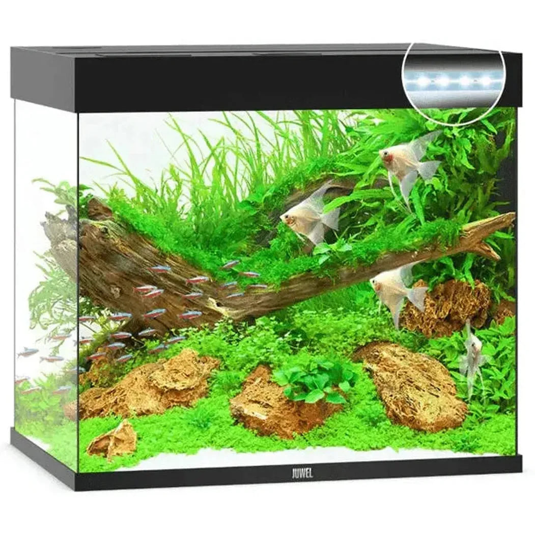 Aquarium LIDO 200 LED (2x led 590mm) NOIR JUWEL