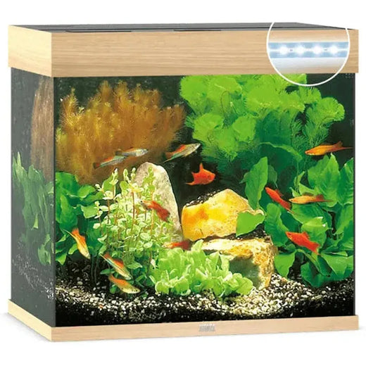 Aquarium LIDO 120 LED (2x led 438mm) CHENE CLAIR JUWEL