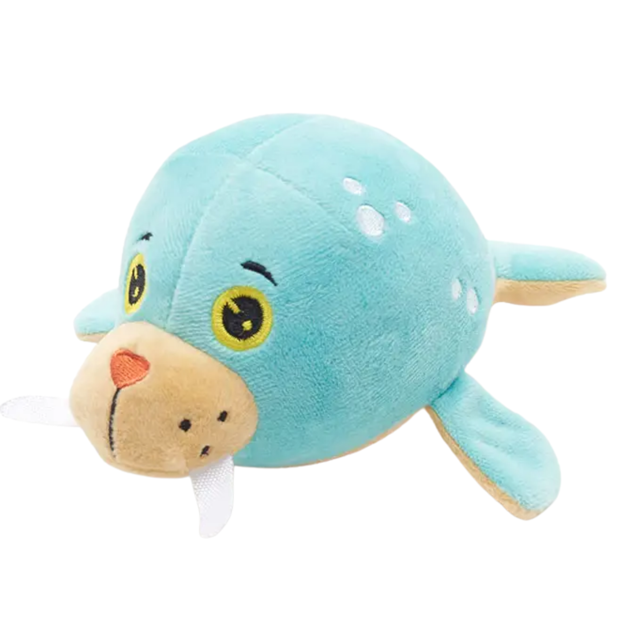 Summer morse kawai