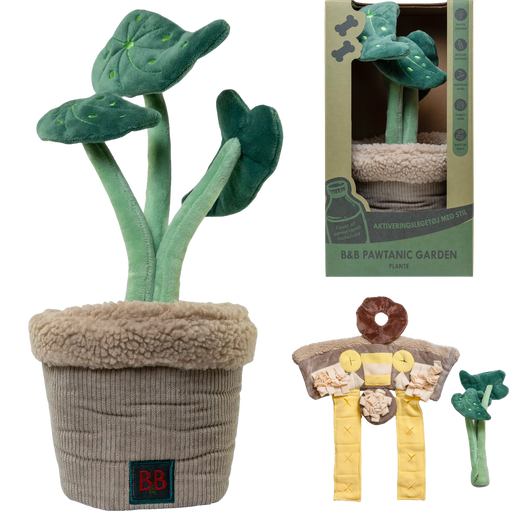 Pawtanic monstera de flair