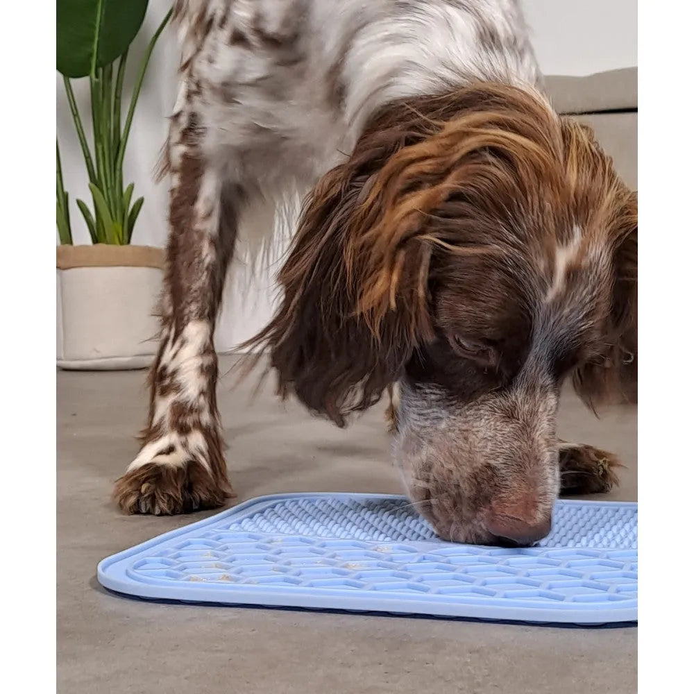 Tapis Silicone pour Gamelles – Taille L (Bleu, 55×39 cm)