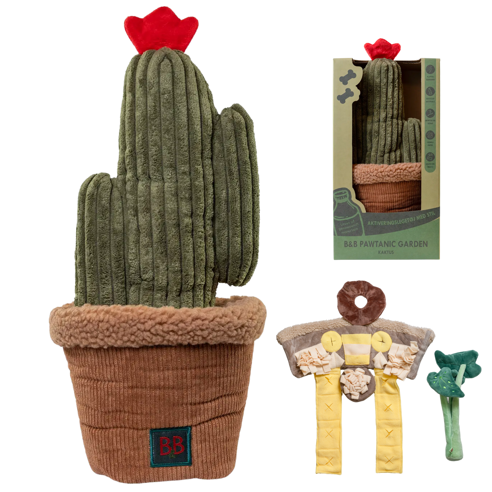 Pawtanic Cactus de flair